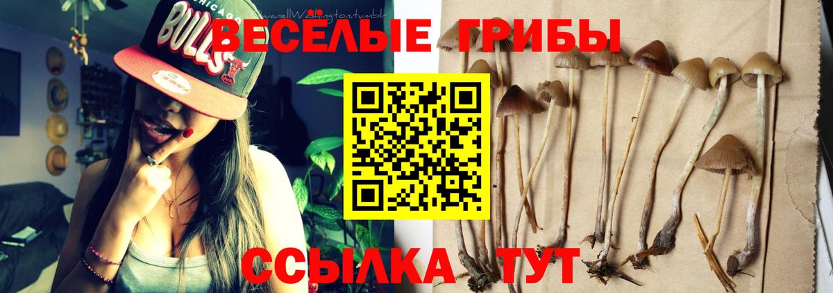 Псилоцибиновые грибы мицелий Унеча
